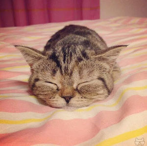 Meet your Posher, Carly